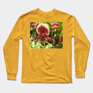 Serene Beauty: Red-Green Venus Slipper Orchids Print Long Sleeve T-Shirt